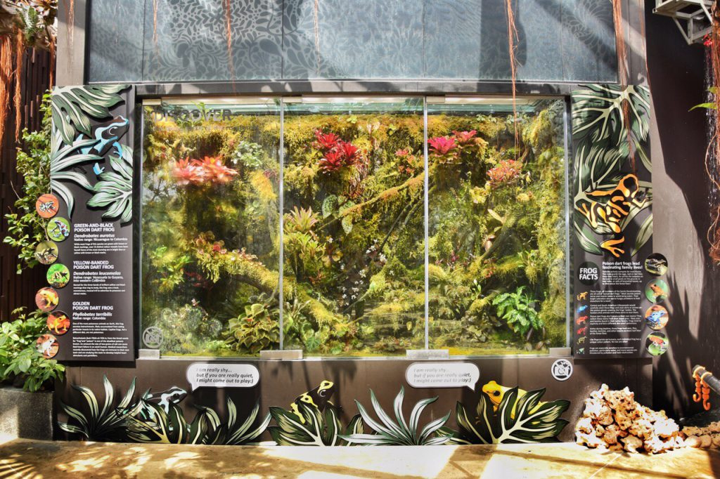 保存版 フローラルファンタジーまとめガーデン・バイ・ザ・ベイTravel Earth