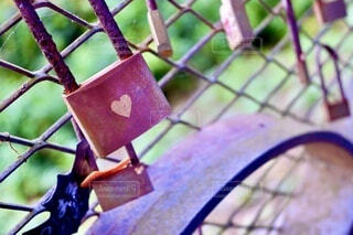 南京錠に囲まれた龍恋の鐘 - 恋人の丘 龍恋の鐘のクチコミ - じゃらんnet