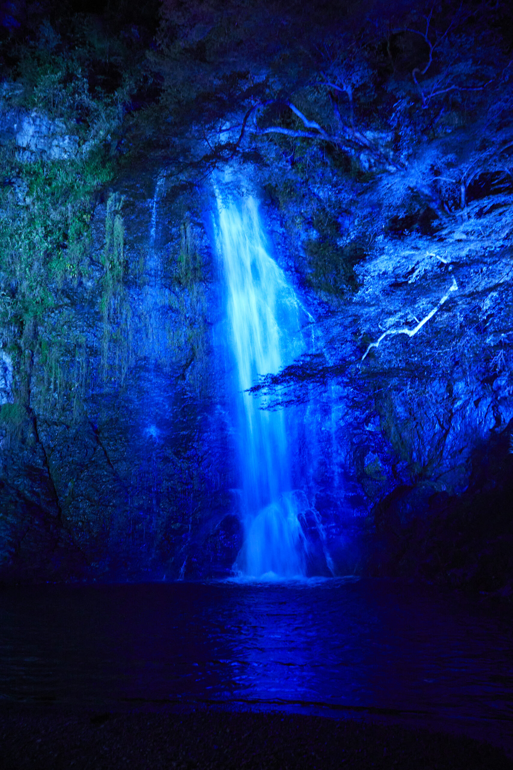 2025年最新 大阪で手持ち花火ができるスポット8選を大紹介なまさや旅ブログ