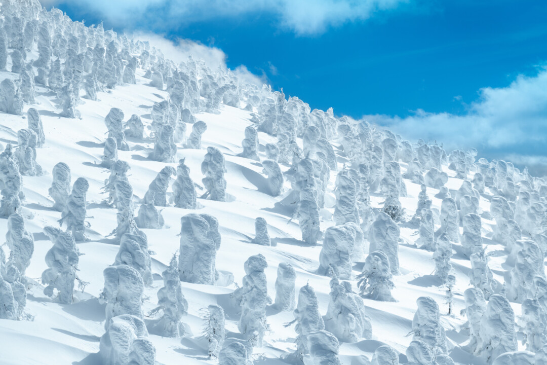 冬の風物詩～白川郷ライトアップ～次回開催・１月２５日 土 ＆２６日 日 :飛騨のイベント情報