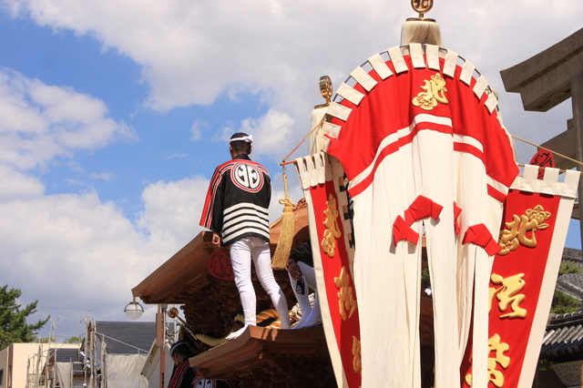 だんじり祭りは秋だけじゃない！？神戸で春に行われるだんじり祭の見どころは？株式会社オマツリジャパン
