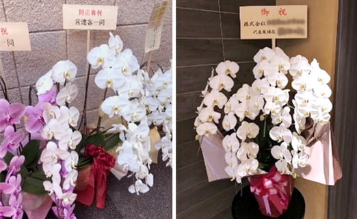 立て札の記入例胡蝶蘭の取り扱い・通販なら大阪市の造商へ