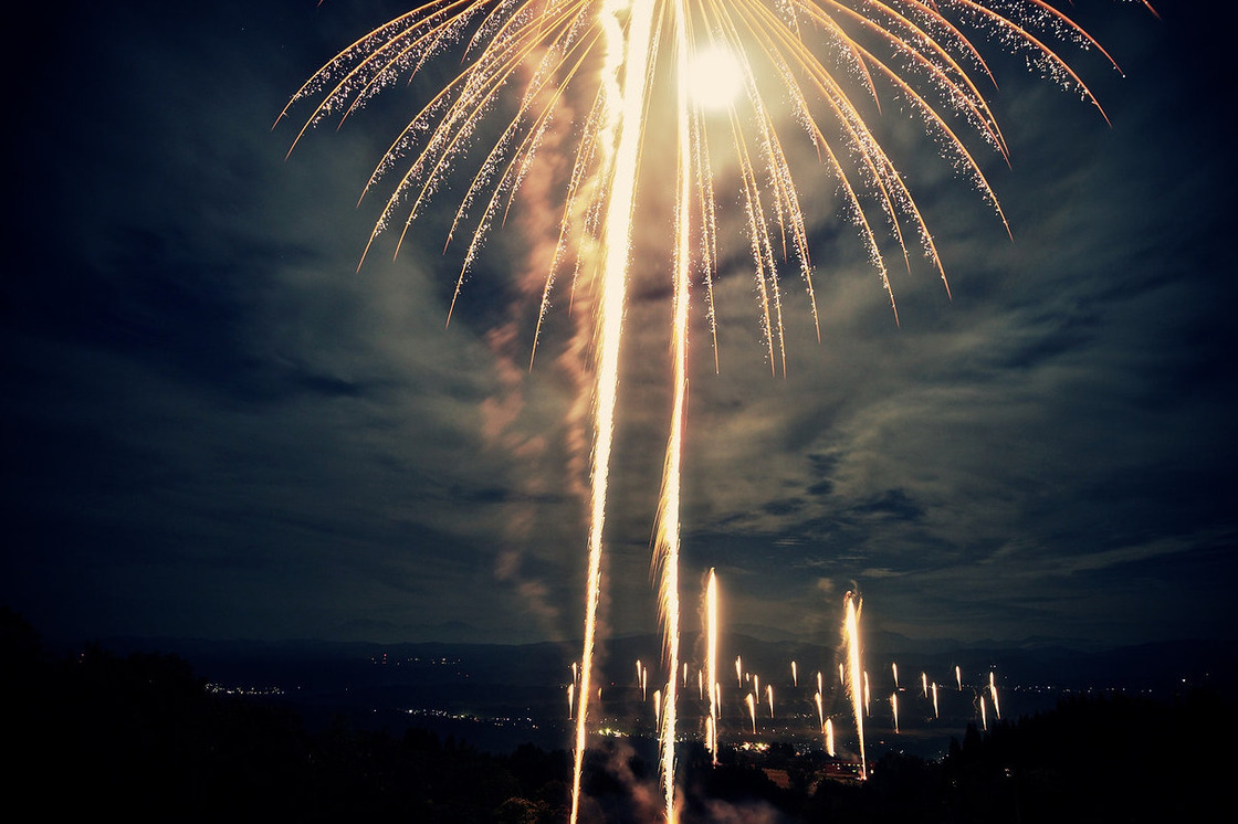 オカトラノオ 岡虎の尾- 庭木図鑑 植木ペディア