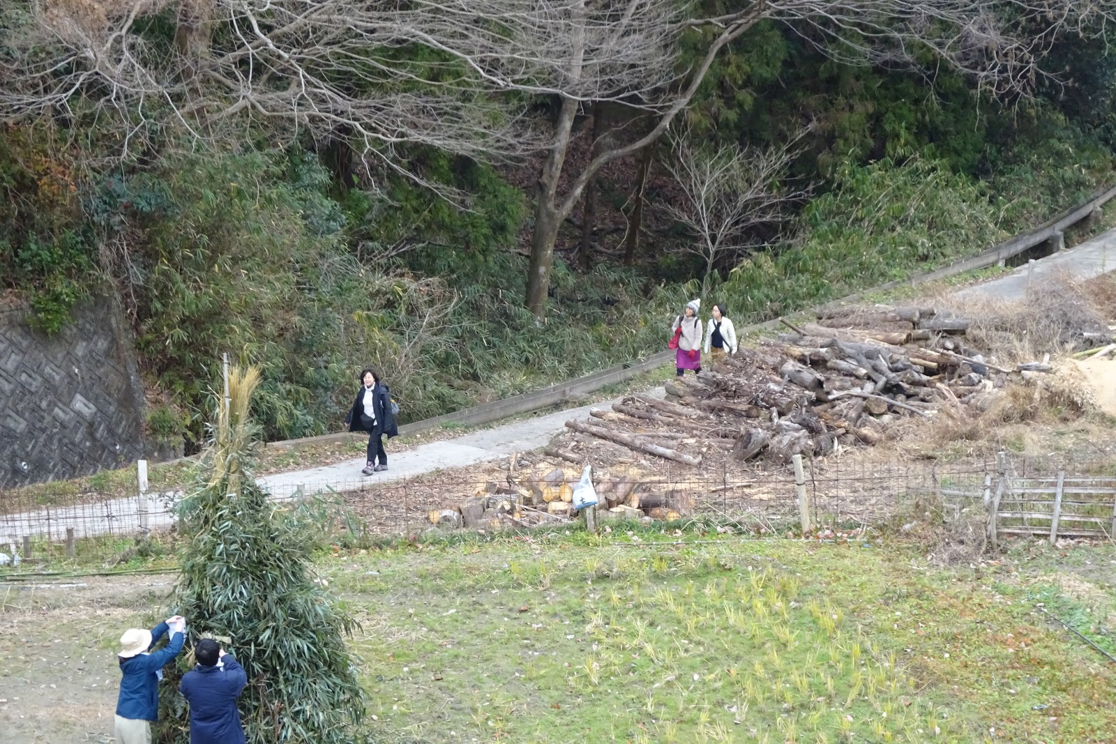 とんど」のお焚き上げの火で、お餅を焼いて食べた日 鳥越神社: 旅プラスの日記