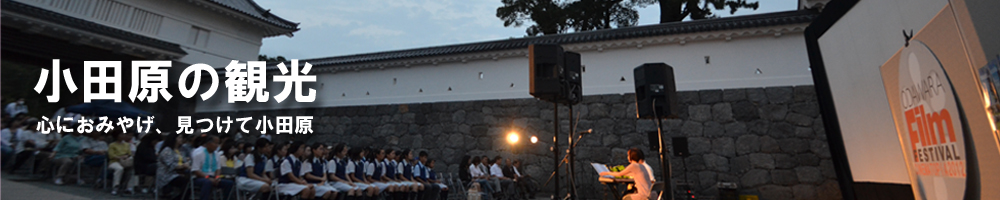 梅丸神奈川県小田原市キャラクター.10 13 月・祝 ちょうちんまつり開催💡🏯令和7年10月13日 月・祝 は、 小田原 城址公園二の丸広場及び小田原市観光交流センターにて、第34回小田原ちょうちんまつりを開催するでござる💡Instagram