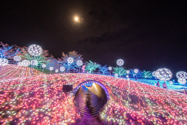ローザンイルミ2020ローザンベリー多和田