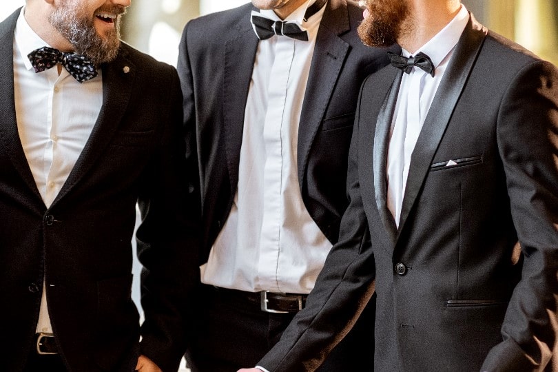 蝶ネクタイ 結婚式 昼の結婚式で蝶ネクタイはOK？失礼＆ダサい