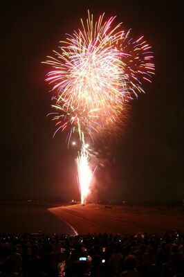 第3回 渡良瀬遊水地花火大会