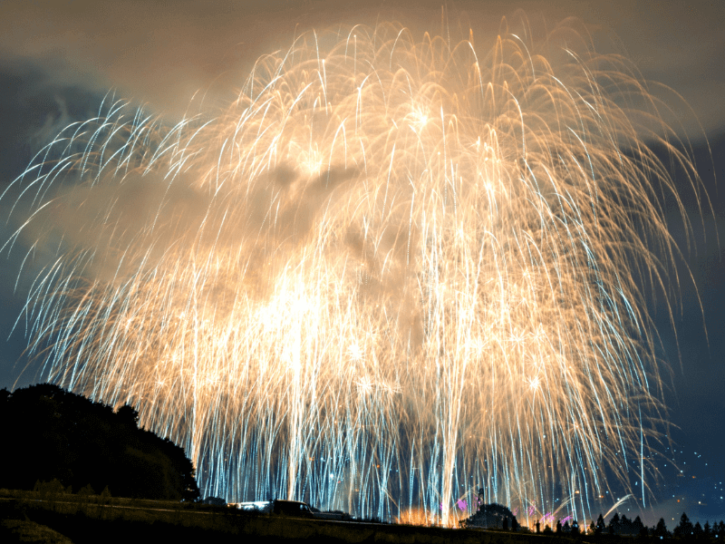 最新版 2025関東地方花火大会カレンダー│ふぁいん!花火総合サイト