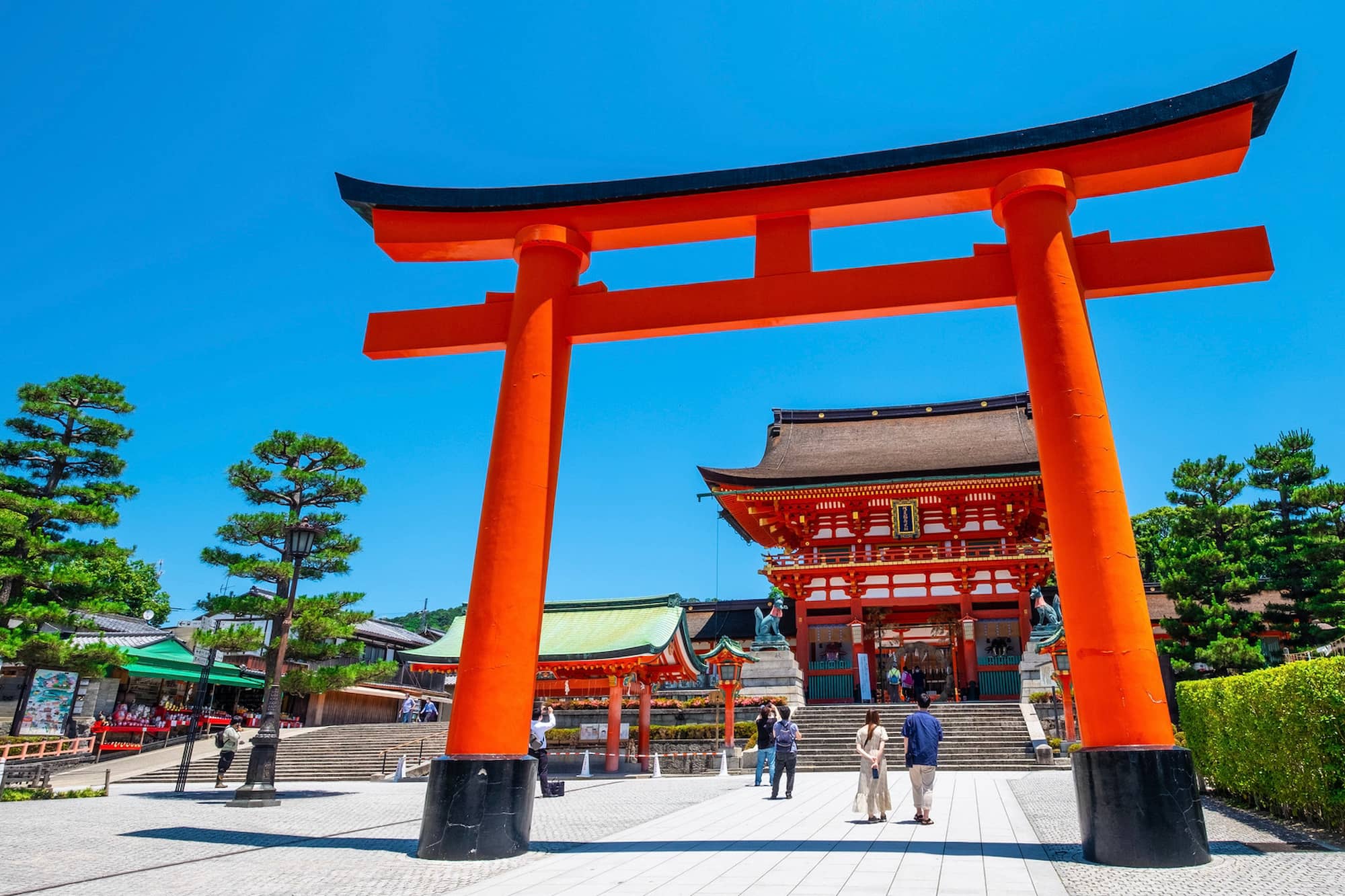 なんちゃって鳥居研究猪鹿蝶