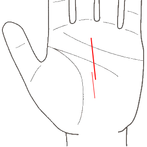 運命線が途切れている手相の人は苦労する！？その線が暗示するあなたの人生とは-手相占い無料占いcoemi コエミ