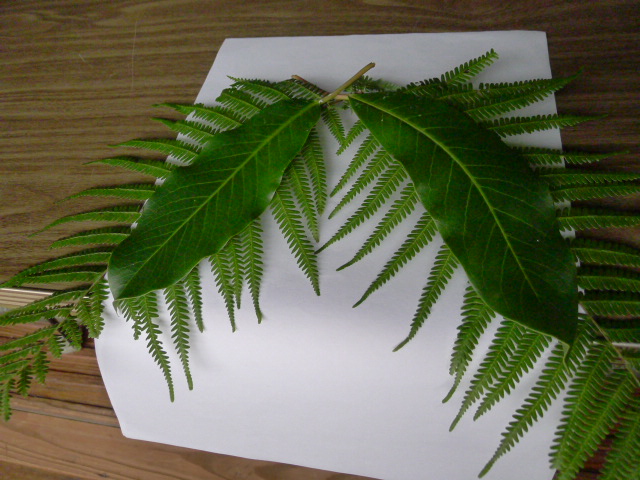 買う前に要チェック！正月飾りやしめ飾りに使われている縁起物の意味は？イエモネ