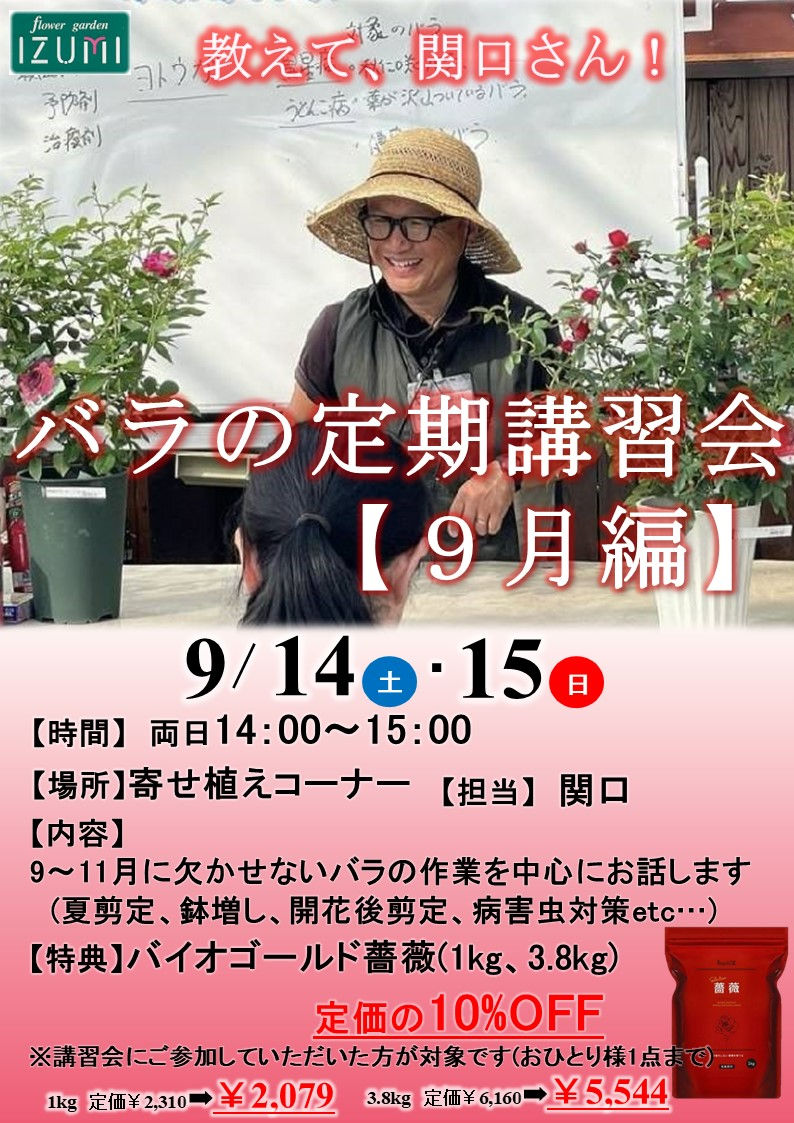 フラワーガーデン泉群馬県の花屋