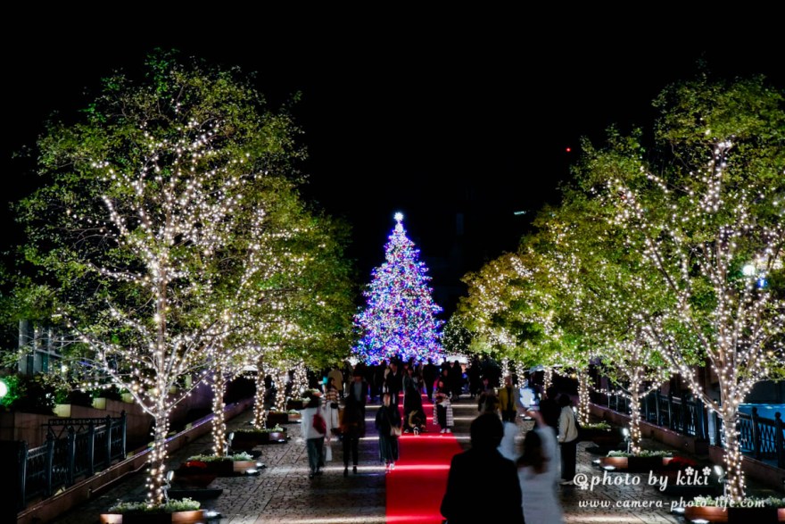 恵比寿ガーデンプレイスのバカラ・シャンデリア＆クリスマスツリーのイルミネーションが今年も