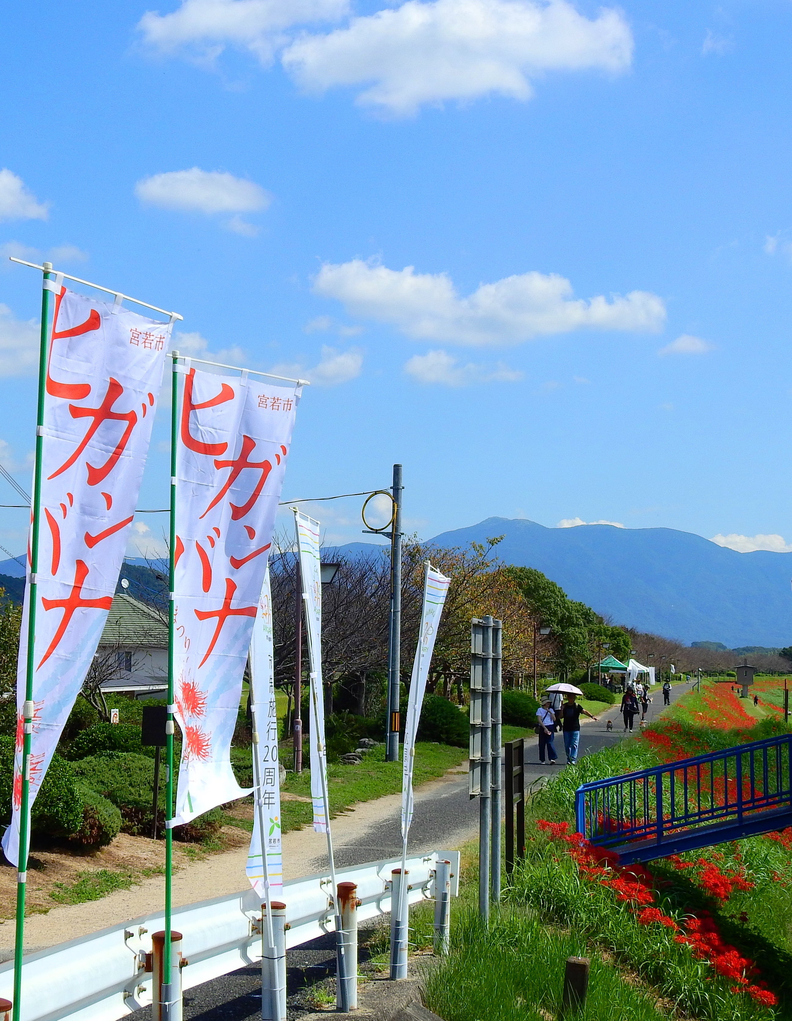 宮若市ヒガンバナまつり2023イベント掲示板チクスキ