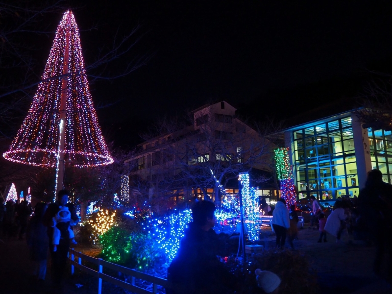 宮ヶ瀬イルミネーション2020！期間・時間は？駐車場や混雑状況も！琴子チャンネル～子育て・私・好きなコト～