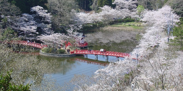 茂原住宅公園 11月イベント情報🎯毎月無料イベント開催🤩茂原住宅公園のニュースまいぷれ 茂原市・長生郡