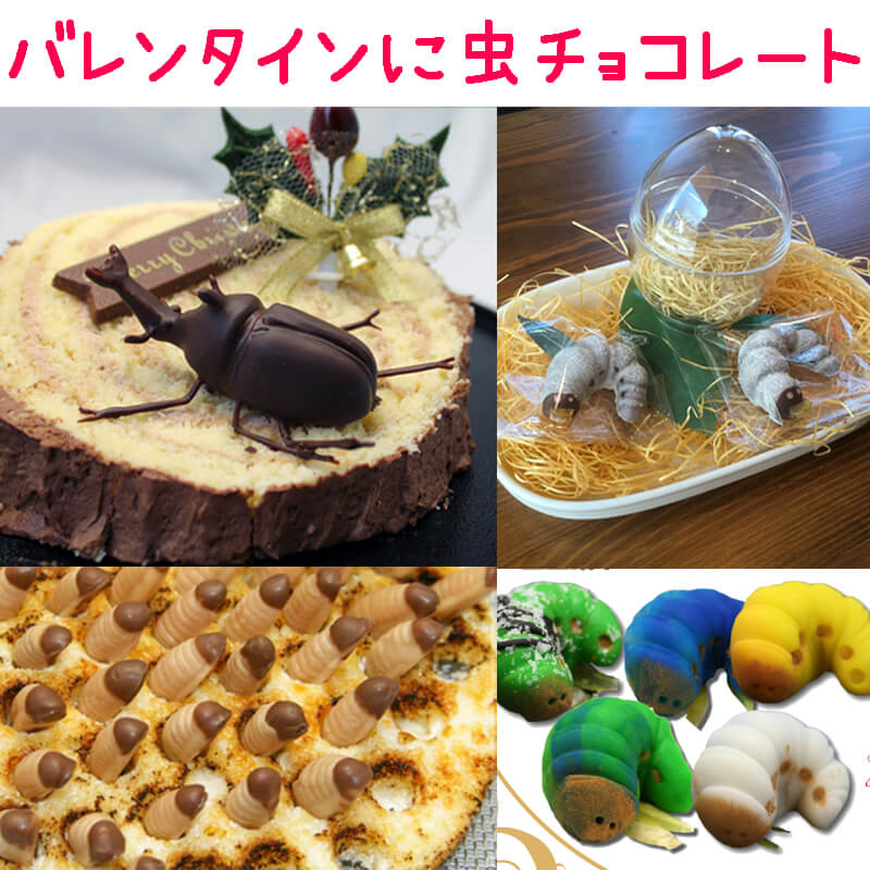 ウケ狙い上等！ おもしろ・ユニークなバレンタインチョコ４０選！拝啓、覆面のパンダ夫婦です