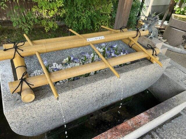 新古品袋帯 フォーマル 京都 西陣 村田織物 正絹 煌錦 京都 清明神社 清明桔梗紋 こげ茶地 金糸 金箔糸 花古典文様 波文 春 夏 秋未使用 仕立て上がり みやがわ sb50531リサイクル着物 みやがわ 中古着物