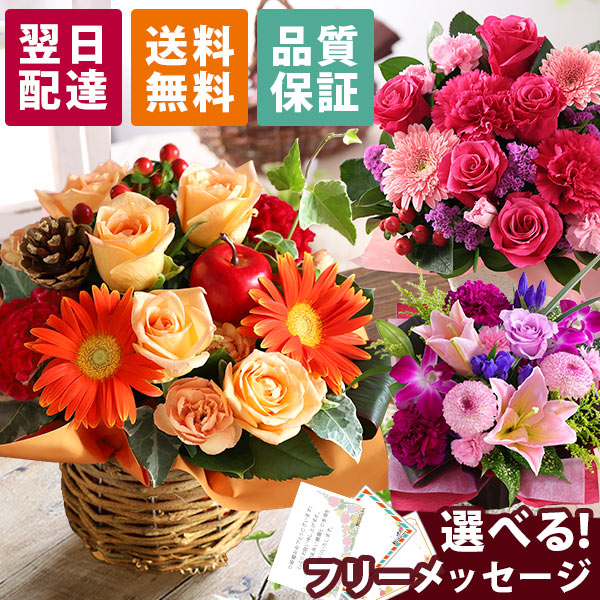 母の日 花 鉢植え カーネーション プレゼント 花鉢 母の日ギフト 母の日のプレゼントお父さんお母さんに贈りたい,お母さんに感謝の気持ちを安心と感動を送る！フラワーギフト 花のギフト社