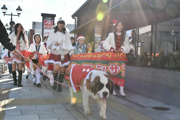 飼い主大満足♡ ワンコと行ける、フォトジェニックなクリスマススポット