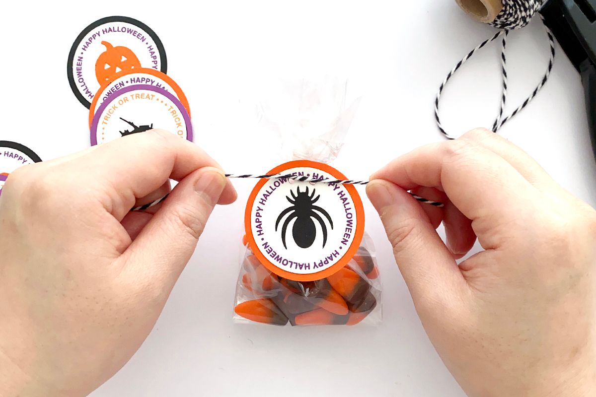 ☆ マスコットハロウィン棒キャンデー ☆