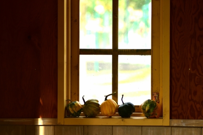 11 件の「イベントインテリア」のアイデアを今すぐ保存ハロウィン インテリア、ハロウィン ディスプレイ おしゃれ、ハロウィン 飾り など