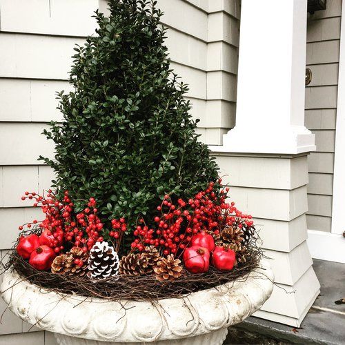 予約品 12月上旬より順次発送 クリスマス 寄せ植え 玄関 店舗前の花飾りに プレゼントやギフトにもおすすめ 鉢花 花苗 コニファー サンタクローススノーマンFleur Town吉本花城園