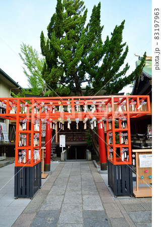 6月・7月・8月の白山神社行事予定のご案内お知らせ新潟総鎮守 白山神社