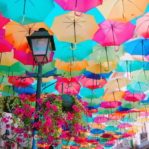 アゲダの傘祭り」徹底ガイド旅の大事典