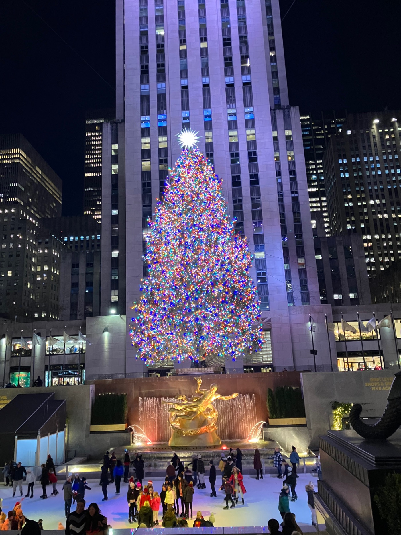 ニューヨークパレスホテルのクリスマスツリー : NY人生一瞬先はバラ色