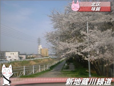 せともの祭り」に行ってきましたHotaka Craft