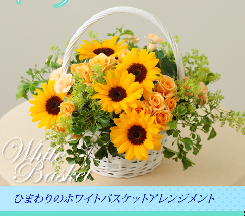 ひまわり アレンジメント 生花 フラワーギフト 誕生日 プレゼント 向日葵 結婚記念日 退院祝い お祝い おしゃれ お見舞い お返し 女性 妻 母義母 父 義父 敬老の日 暑中見舞い 夏 お中元 お供え お悔やみ 快気祝い 記念日 エーデルワイス サマーシーズン Mサイズ