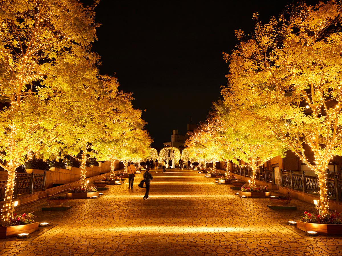 恵比寿ガーデンプレイス イルミネーション「バカラエターナルライツ2021 -歓びのかたち-」の見どころを徹底解説！PLAN