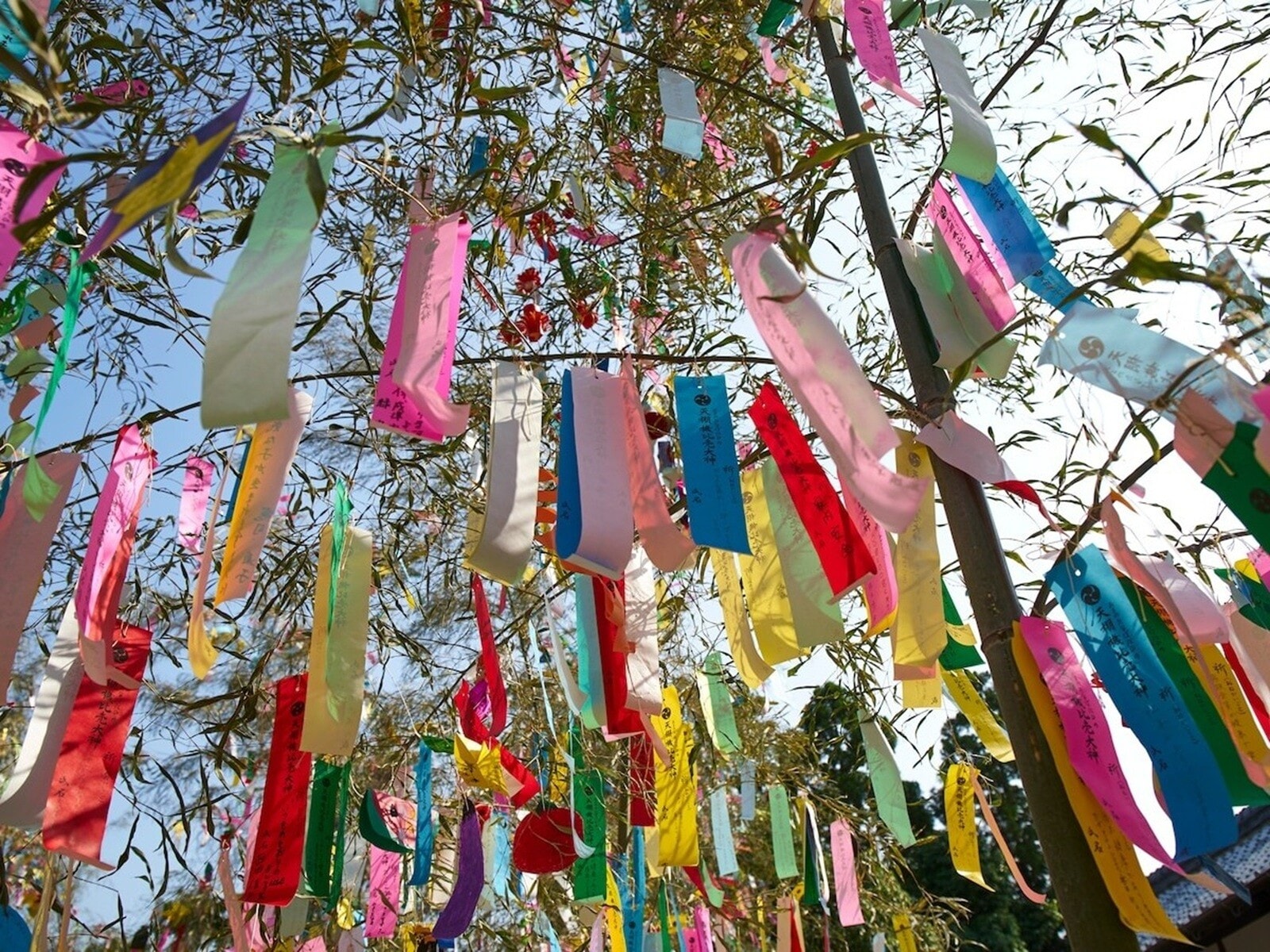 七夕の飾り付け由来・飾りの意味や飾り付けに使えるおすすめの手ぬぐいイベント情報風のうわさ－最新情報－ 手ぬぐい・雑貨専門店 JIKANSTYLE オンラインショップ