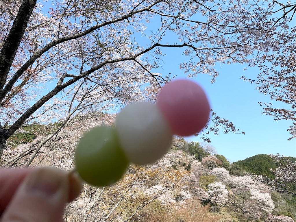 第７８回 秀吉は醍醐花見で何をみたか - 粟津征二郎の紀行エッセイ