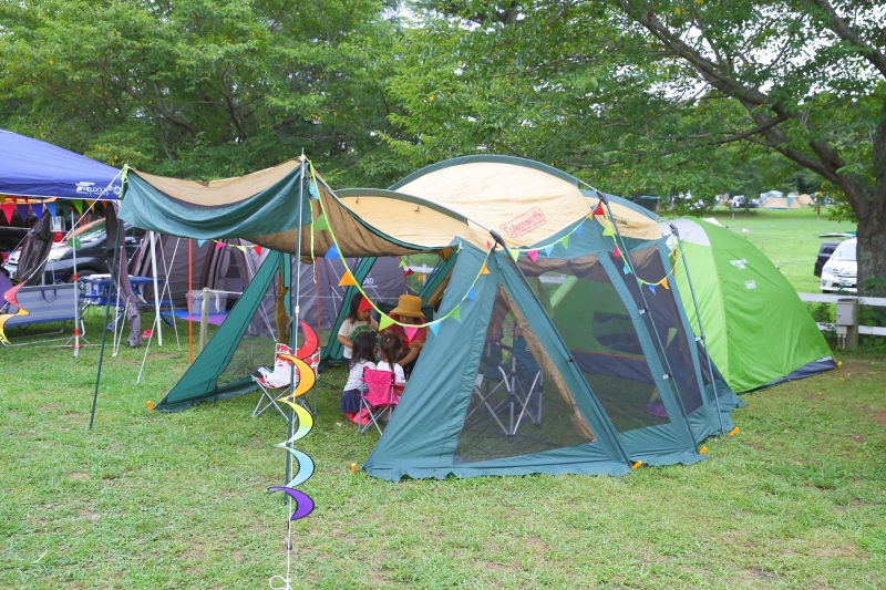 ハイランダーはダサいという噂は誤解？その実態を探る