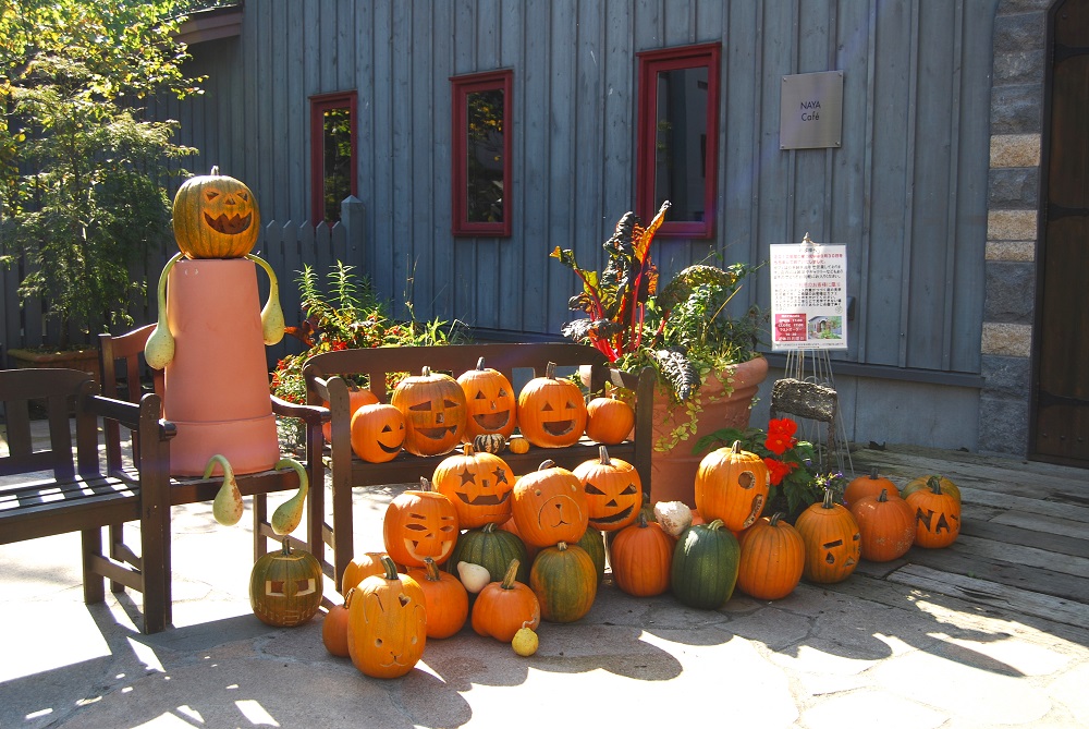 アプローチもお庭もハロウィン仕様スタッフブログ 大分南店 エクステリア・ガーデン・外構・造園グランド工房