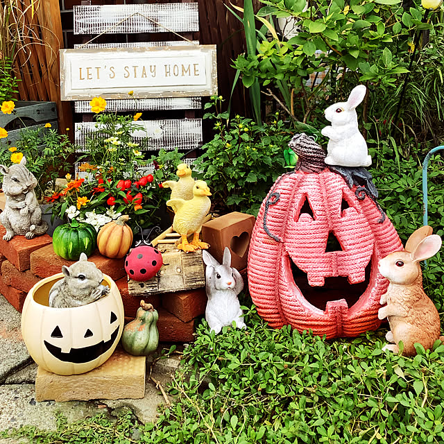 ハロウィンガーデニング！寄せ植えやお庭でハロウィンを楽しもうPROVEN WINNERSPW植物の国際ブランド