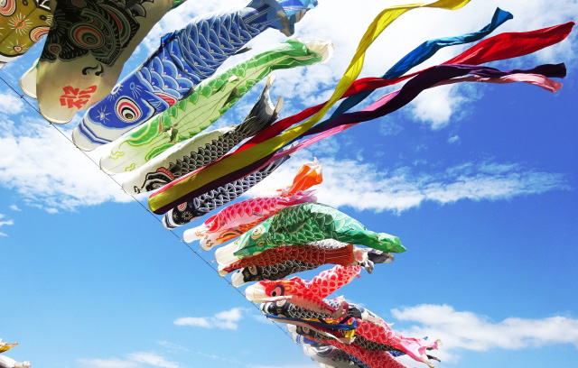 5月5日は端午の節句！「鯉のぼり」の由来 ご存じですか？小野照崎神社