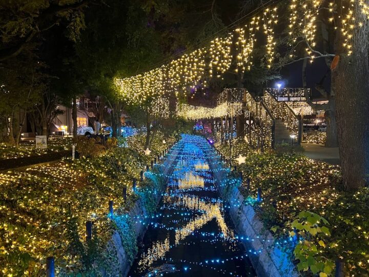 倉敷みらい公園 - ゴールデンウィーク 2025 - ウォーカープラス