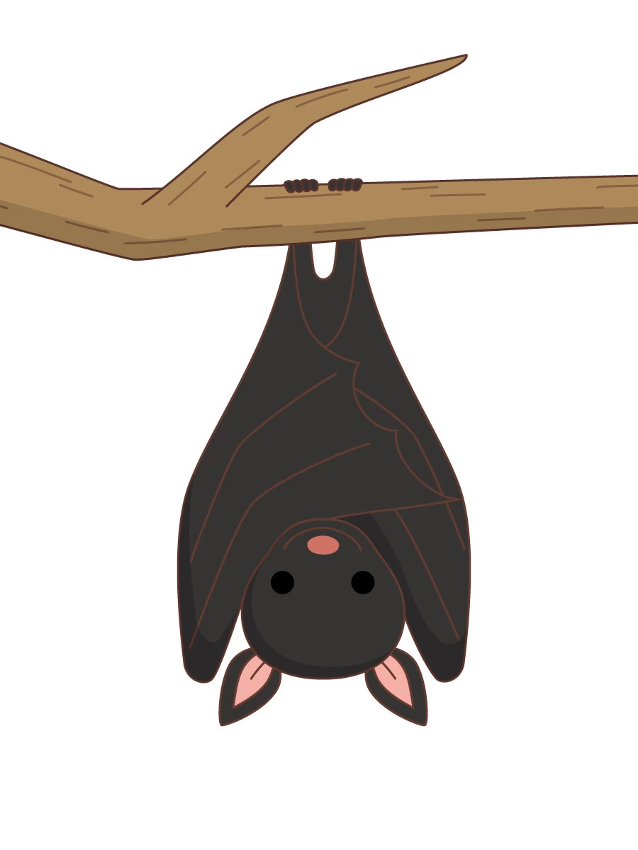 ハロウィン コウモリのイラスト