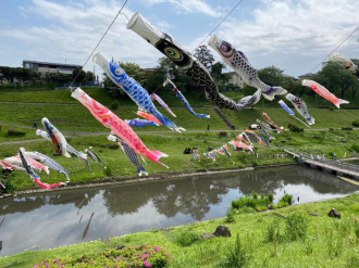 流山市 シント・マールテン祭ってなに？ 無料ガチャコインも楽しめるイベントが11月11日 土 に開催されます！号外NET 流山市・野田市