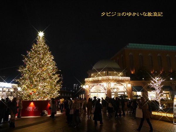 colorful daysさんの投稿 恵比寿ガーデンプレイスことりっぷ