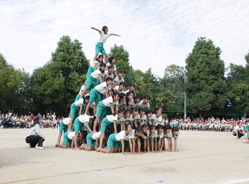 ピラミッド : 無題