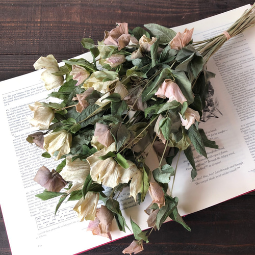 クリスマスローズのドライフラワースワッグ作り 我が家のシェードガーデン