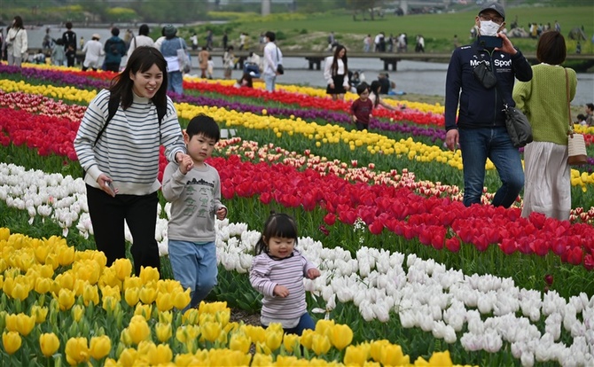 直方市公式ホームページチューリップフェア2023開催中 3 25