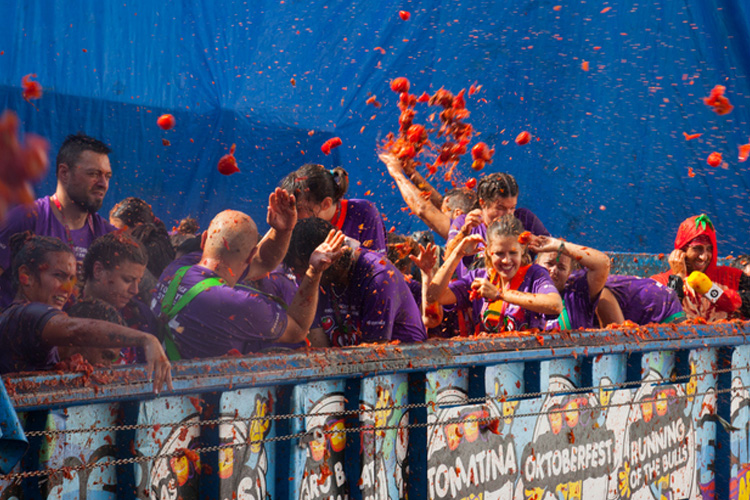 へトマトNPO 日本の祭りネットワーク