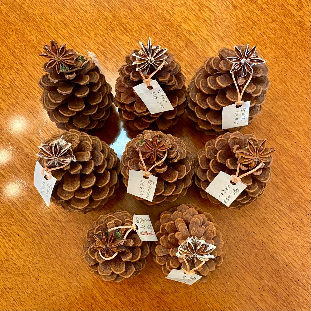 まつぼっくりでミニクリスマスツリーを作ろう！親子で楽しむアウトドア！自作・DIYBE-PAL キャンプ、アウトドア、自然派生活の情報源ビーパル