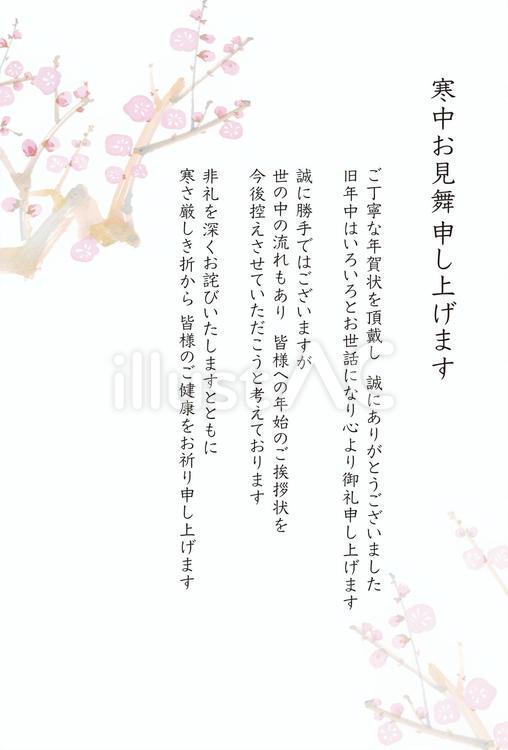 私製 10枚 寒中見舞いはがきn 椿年賀状じまい文章印刷済み 私製ハガキ切手なし 裏面印刷済み : メイドインたんたん - 通販 -Yahoo!ショッピング